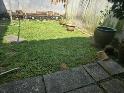 Grove Avenue (D10), Terrace #562404101